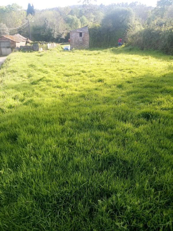 Sale of rural property in Carretera Maldefer s/n , Monfero photo 3
