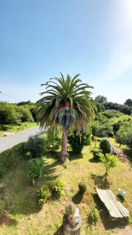 Casa independiente en carretera Perbes thumbnail 1