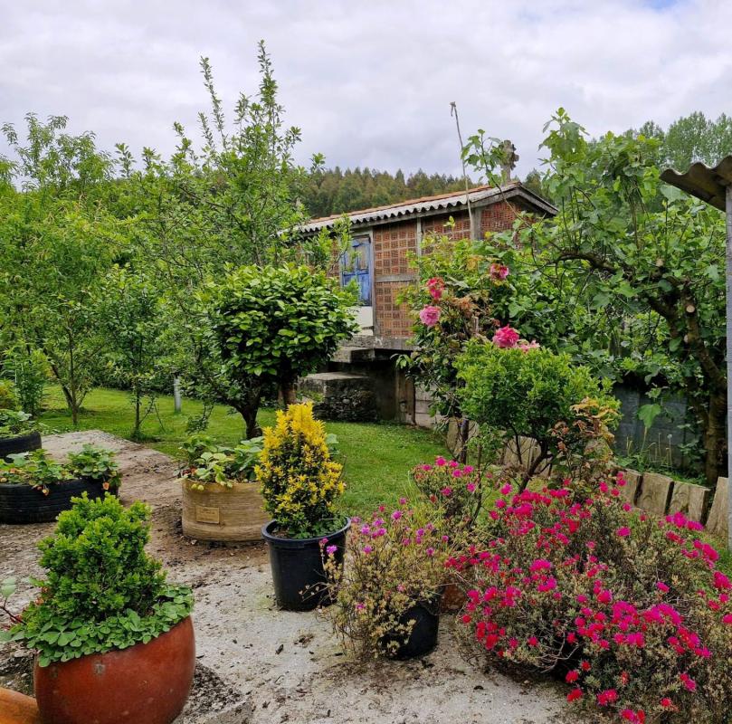 Properties for sale and rent in Spain photo 5