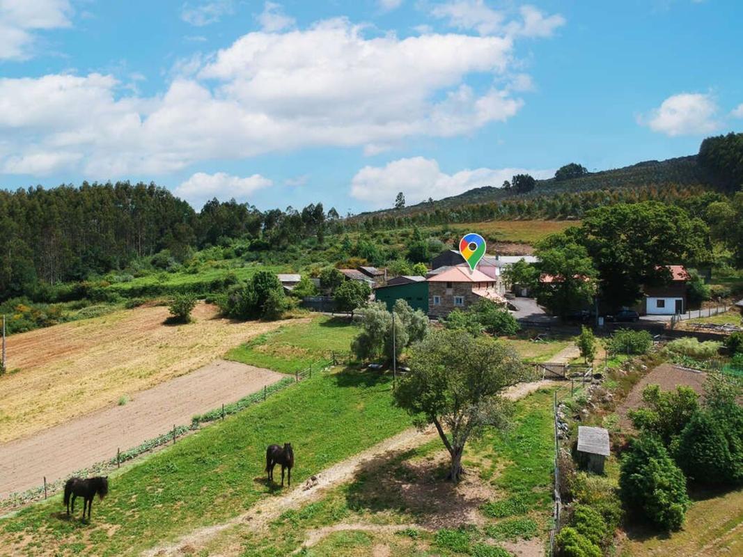 Продажа загородного участка в  Lugar Penelas , Аранга photo 2