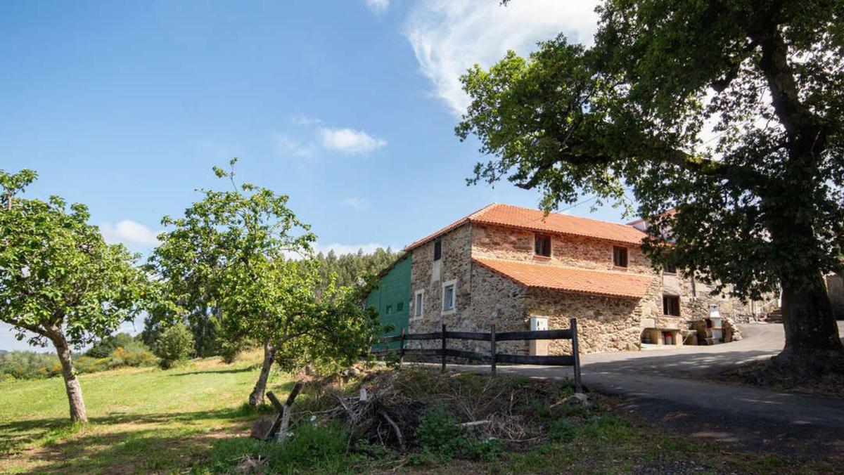 Продажа загородного участка в  Lugar Penelas , Аранга photo 3