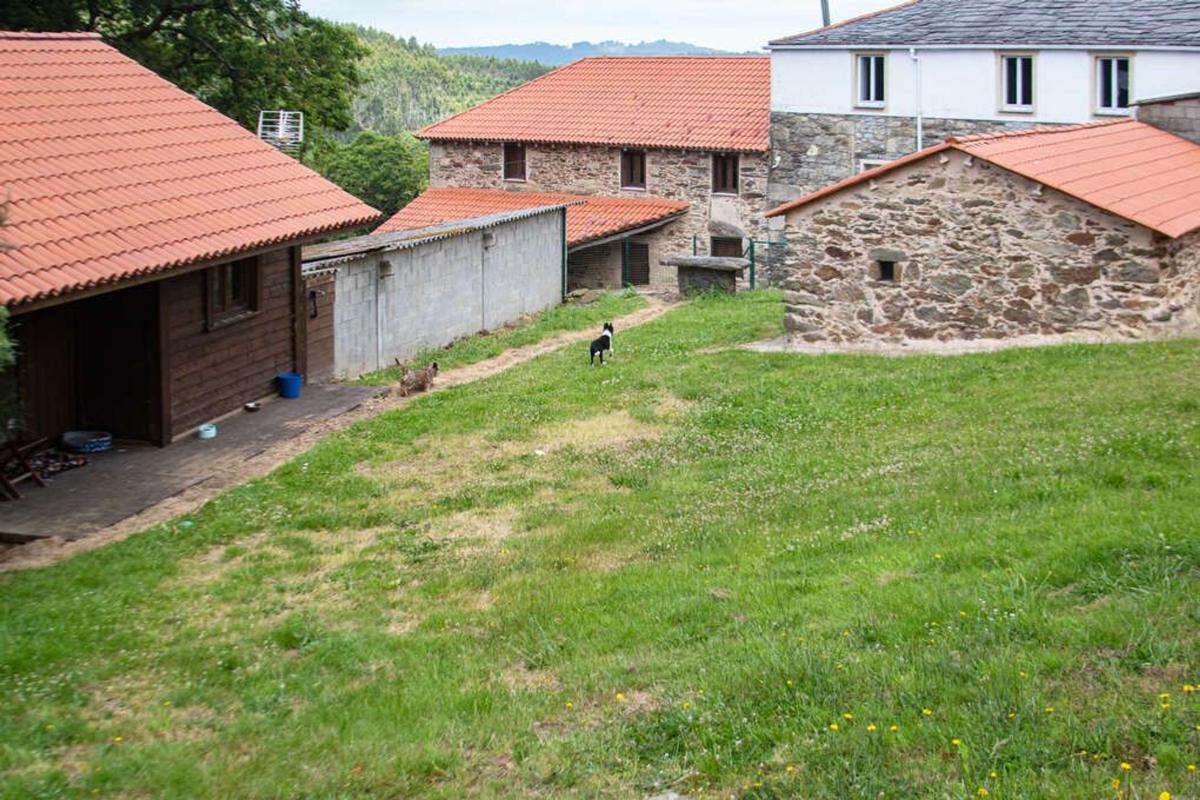 Продажа загородного участка в  Lugar Penelas , Аранга photo 5