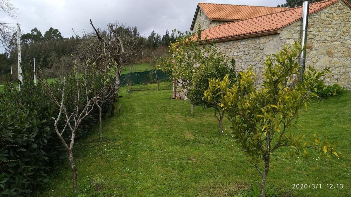 Properties for sale and rent in Spain photo 4