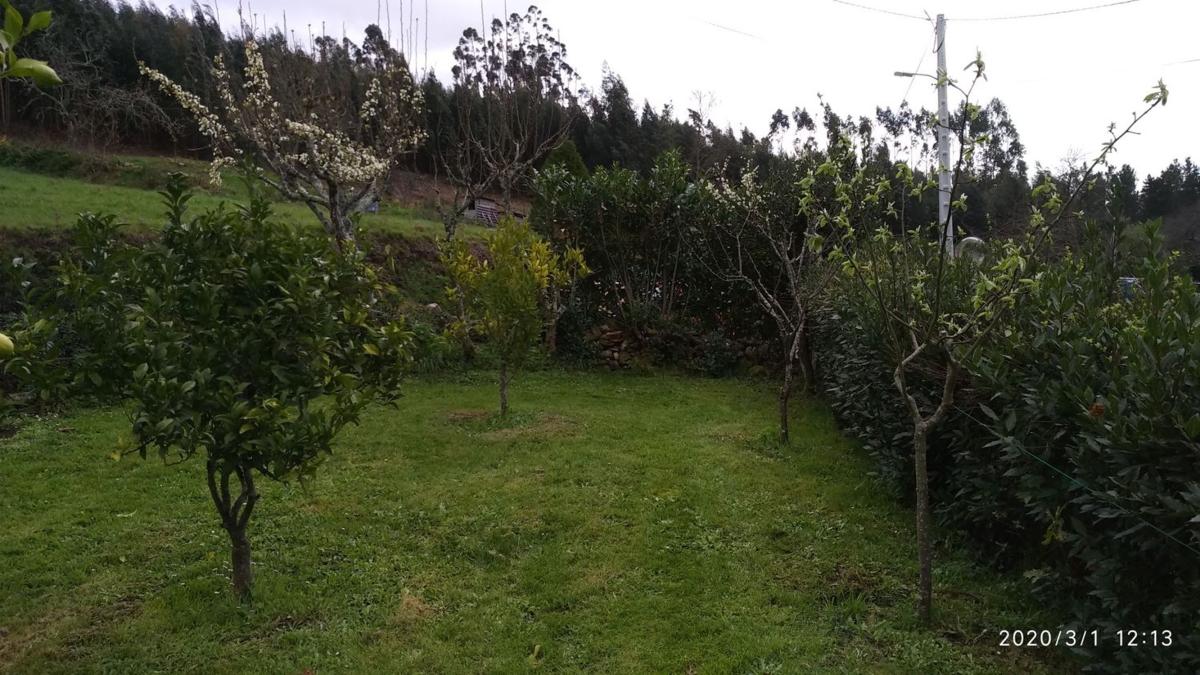 Properties for sale and rent in Spain photo 5