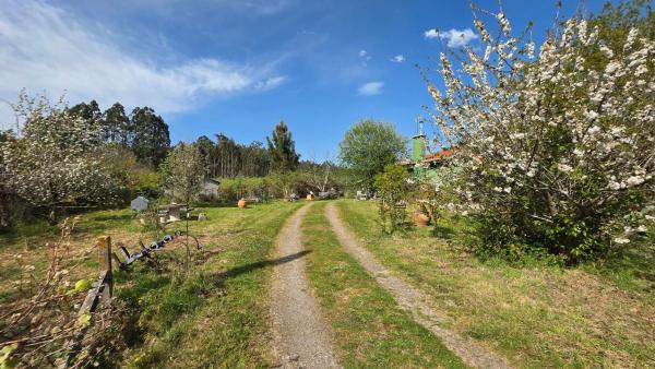 Casa rural photo 3