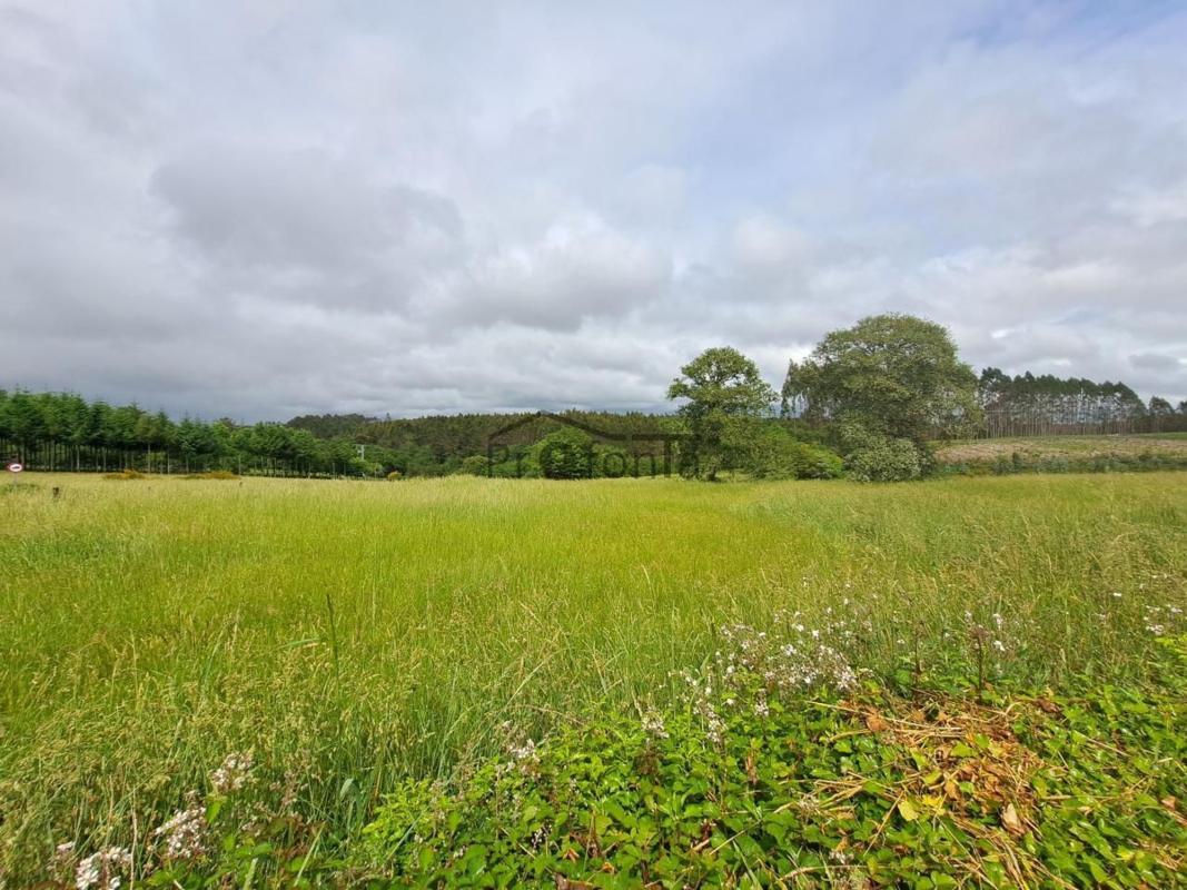 Venta de chalet independiente en Lg. Vilardois, Curtis
 photo 5