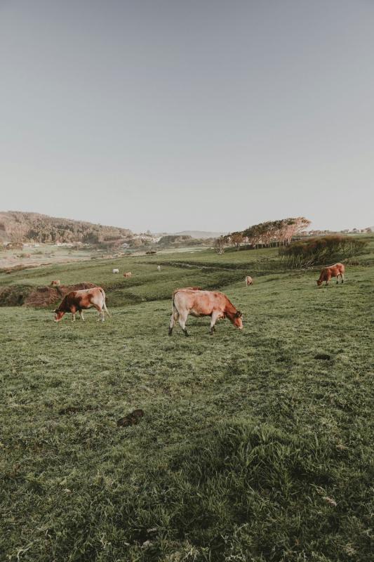 Sprzedaż niezależnego domku jednorodzinnego w C/PENEDO s/n, Betanzos photo 5