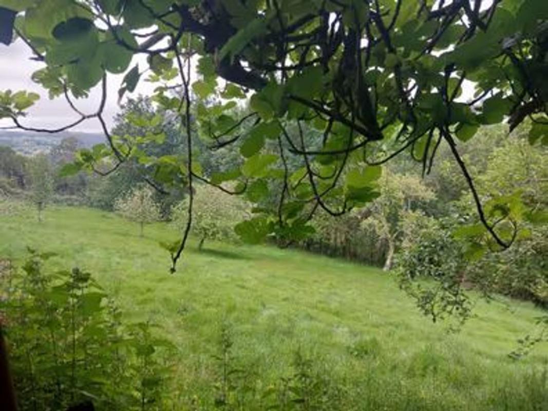 Sprzedaż niezależnego domku jednorodzinnego w Caresma, Coirós, 13, Coiros photo 5