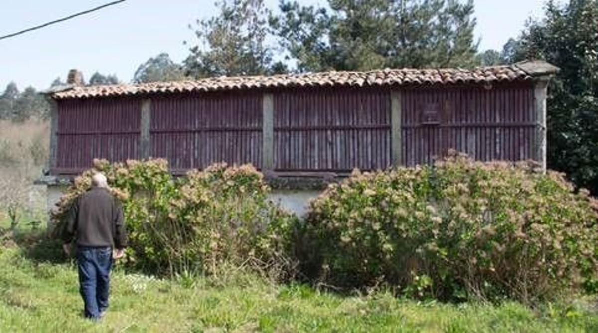Propiedades en venta y alquiler en España photo 3