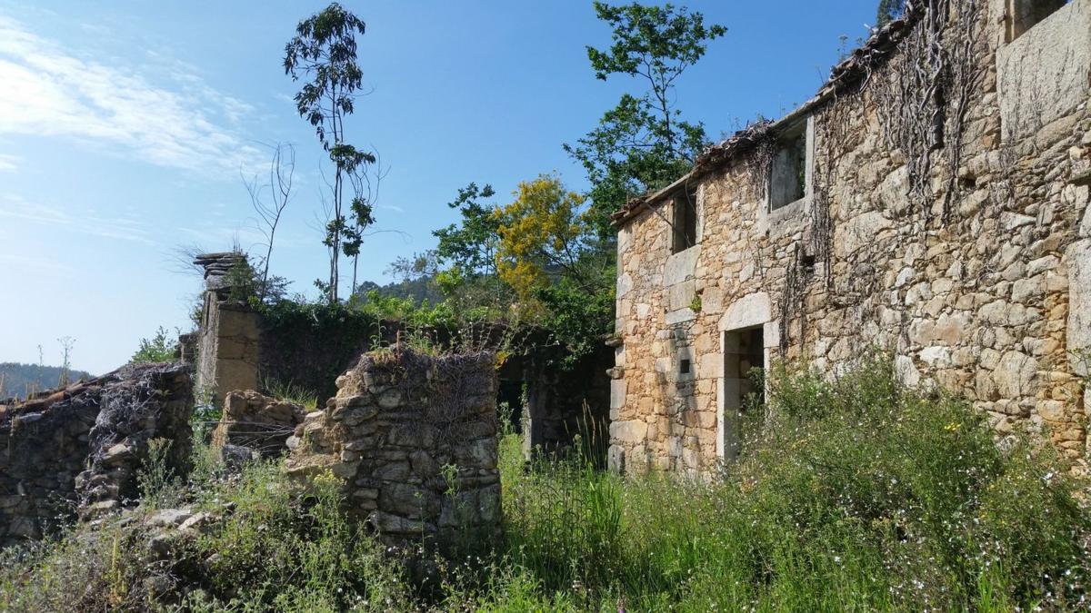Venta de finca rústica en  Lugar Ribeira, 2 , Oza-Cesuras photo 4