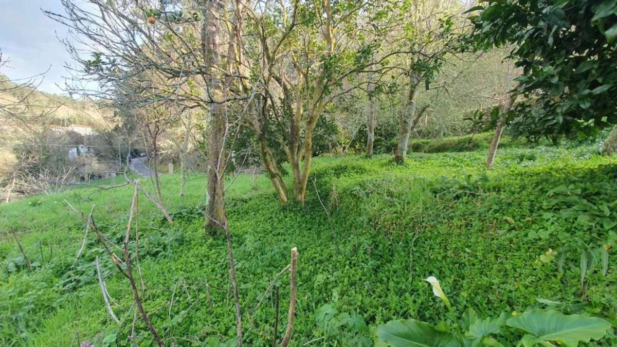 Sale of independent chalet in Lousame, Lousame
photo 3