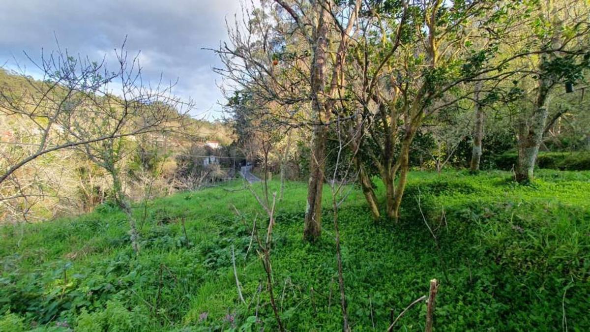 Sale of independent chalet in Lousame, Lousame
photo 4