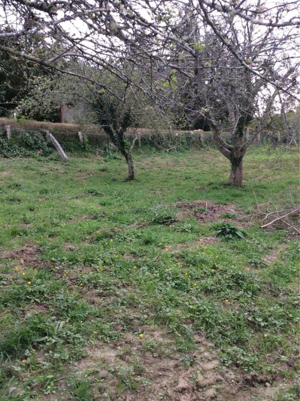 Sale of rural property in A Filgueira, 7 , Lousame photo 3