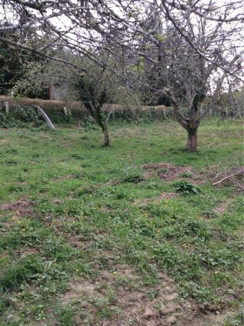 Finca rustykalna na sprzedaż w  A Filgueira, 7 , Lousame photo 3