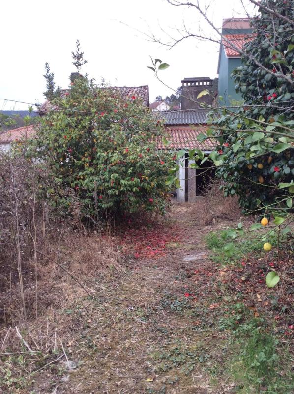 Sale of rural property in A Filgueira, 7 , Lousame photo 4