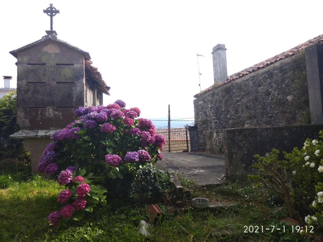 Properties for sale and rent in Spain photo 5
