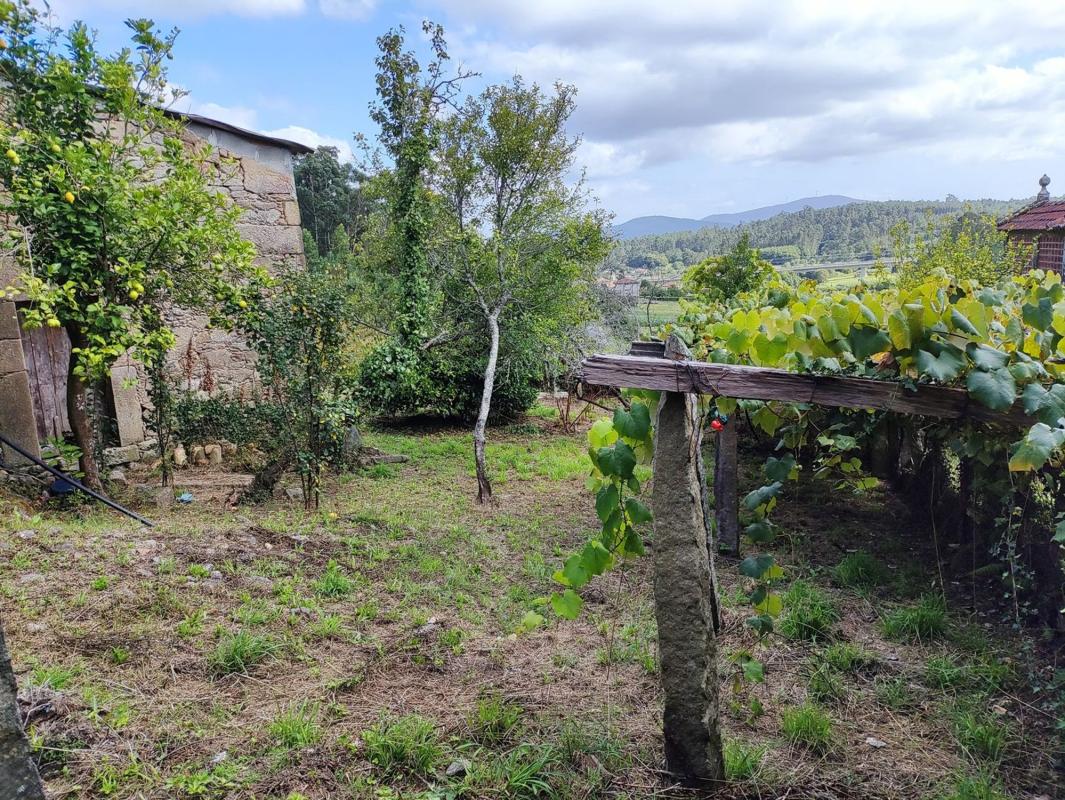 Propiedades en venta y alquiler en España photo 5