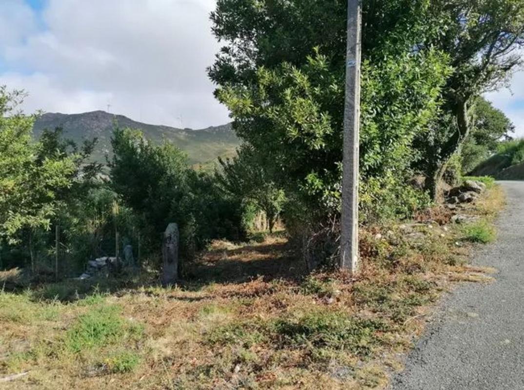 Properties for sale and rent in Spain photo 4