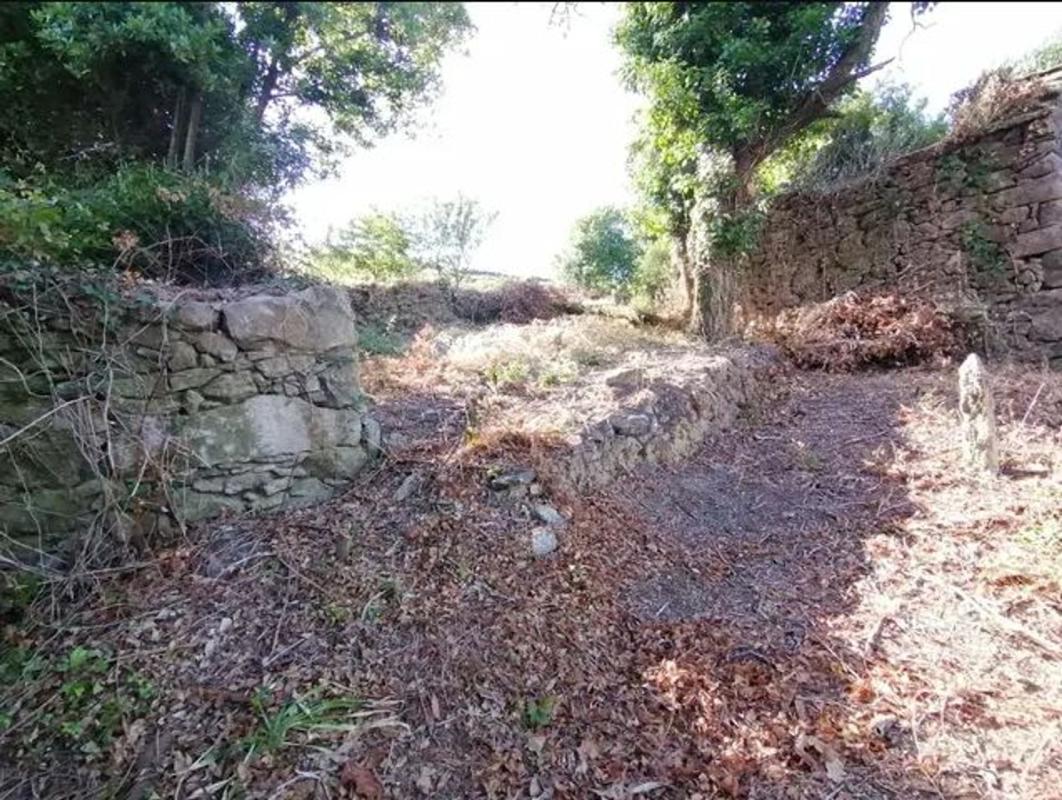 Properties for sale and rent in Spain photo 5