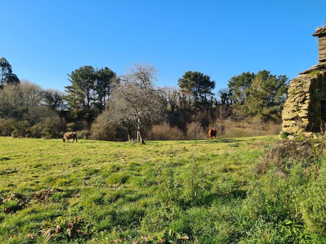 Properties for sale and rent in Spain photo 4