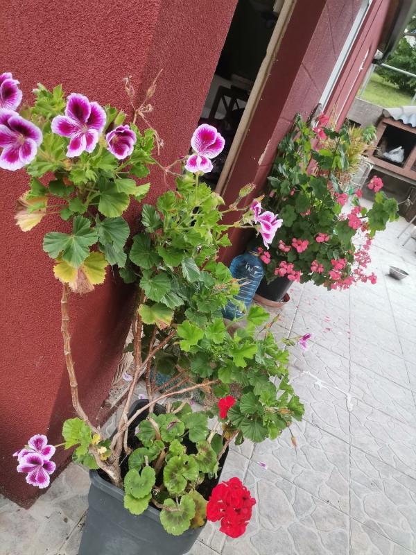 Propiedades en venta y alquiler en España photo 5