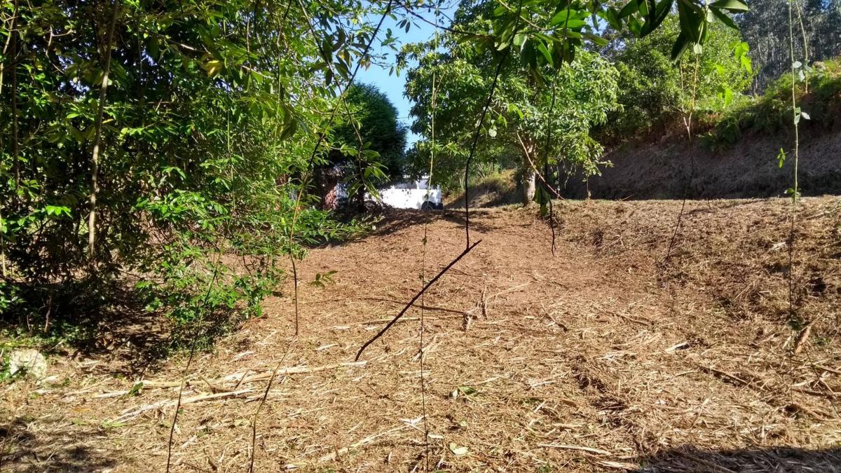 Venta de finca rústica en Lugar Picheira, 6 , Ortigueira photo 2