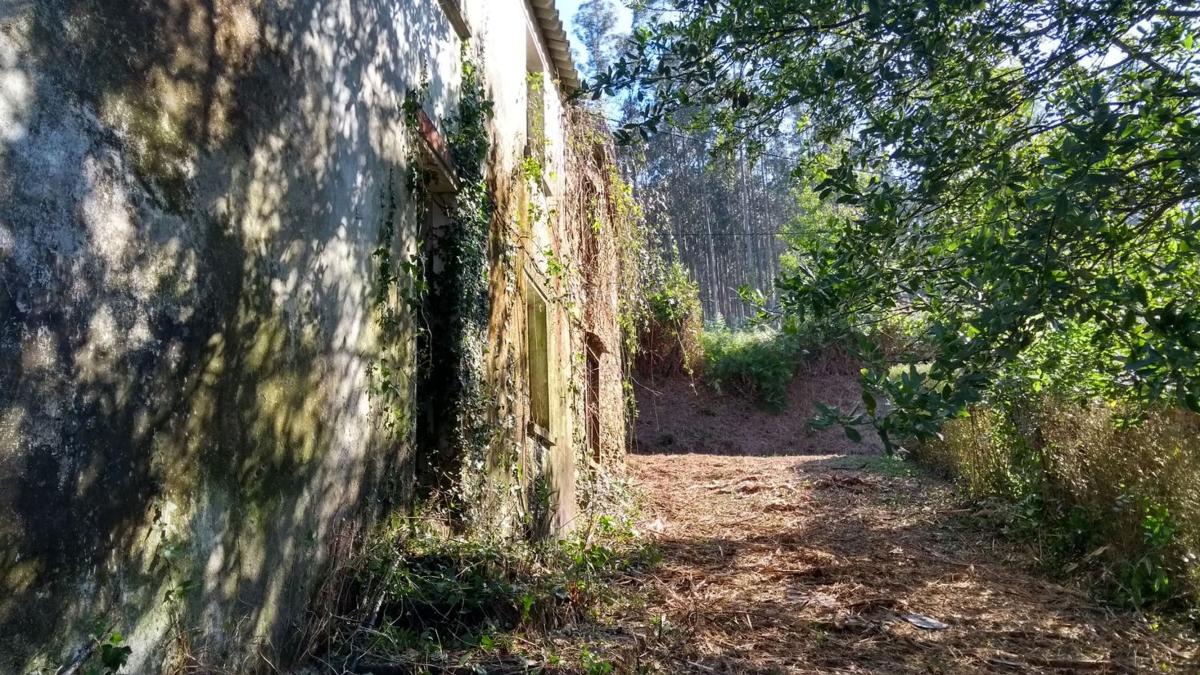 Venta de finca rústica en Lugar Picheira, 6 , Ortigueira photo 4