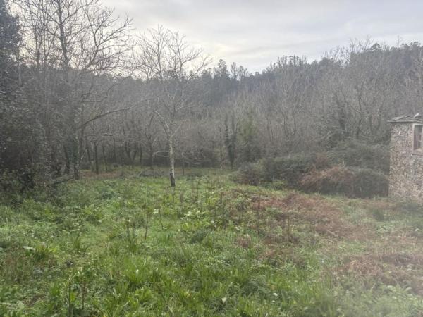 Rustic farm for sale in Lugar Portobo, 1 Q , Ortigueira thumbnail 2
