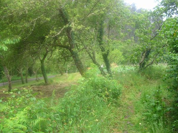 Casa de pueblo en Sin nombre, 75 photo 3