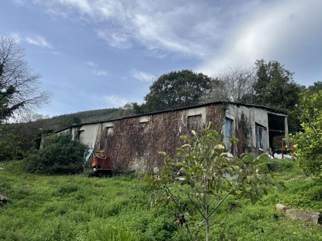 Venta de finca rústica en Lugar Solores, 2 , Ortigueira photo 5
