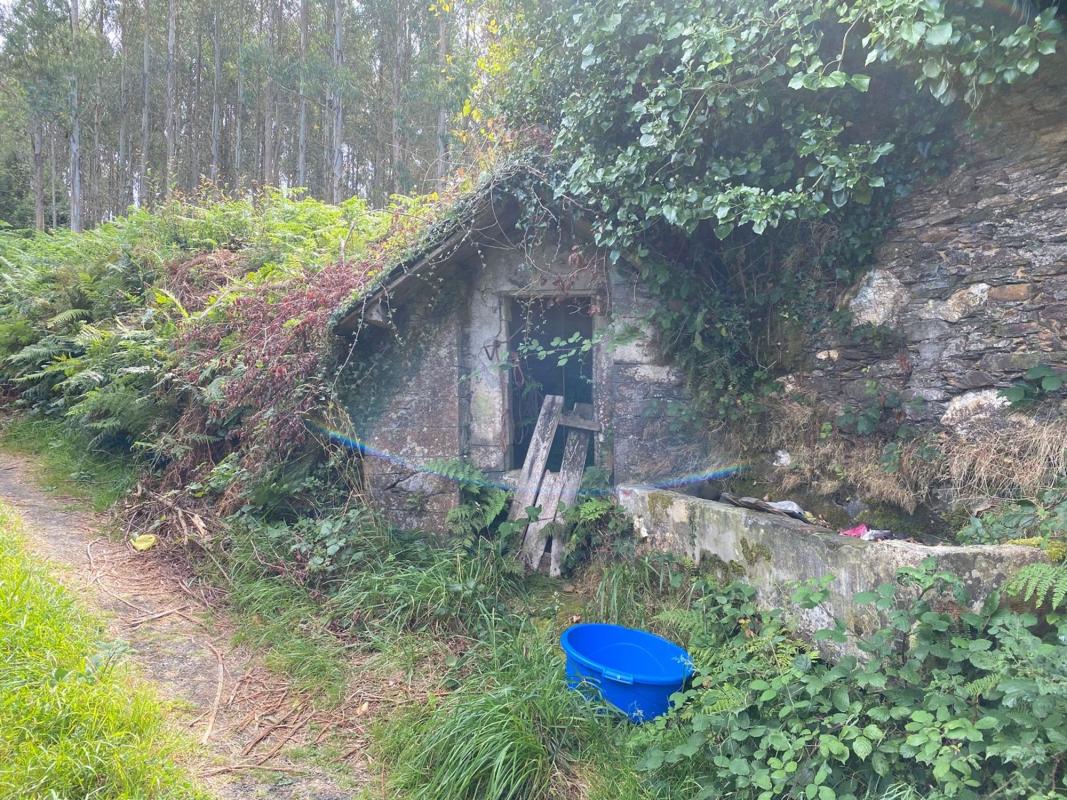 Venta de finca rústica en Lugar Riba, 31 , Ortigueira photo 5
