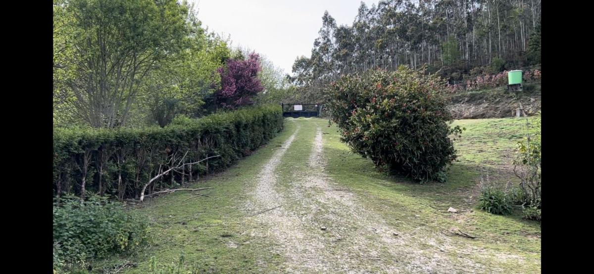 Venta de finca rústica en Troitín s/n , Mañon photo 4