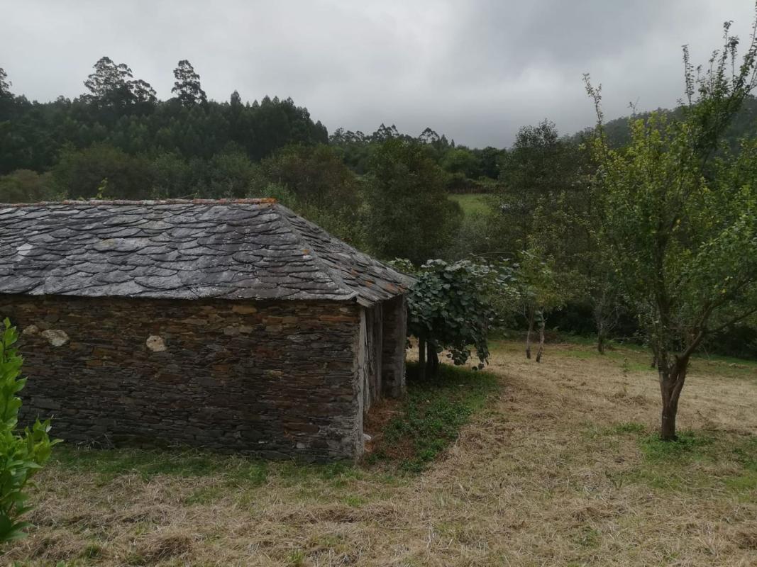 Venta de finca rústica en Lugar Ponte, 31 , Ortigueira photo 3