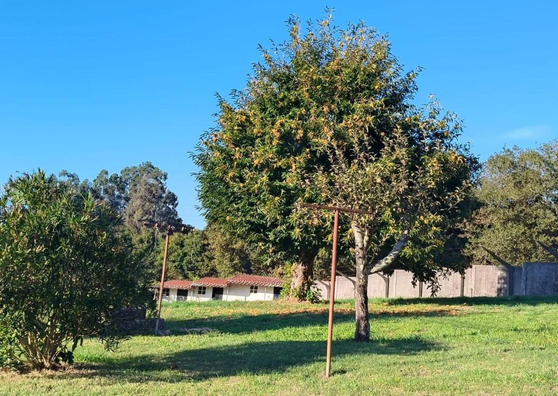 Venta de chalet independiente en Aldea Framil, Ames
 photo 2