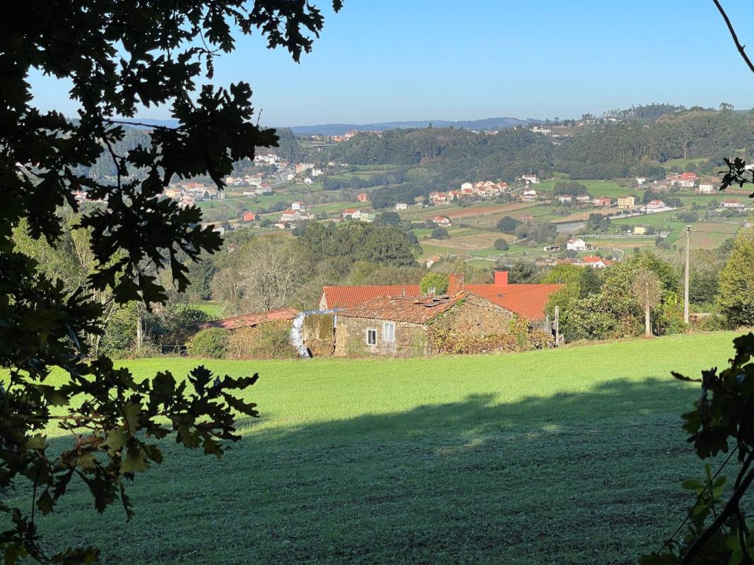 Properties for sale and rent in Spain photo 3