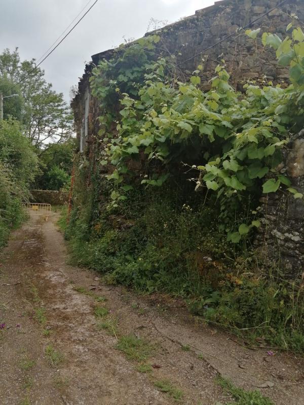 Properties for sale and rent in Spain photo 4