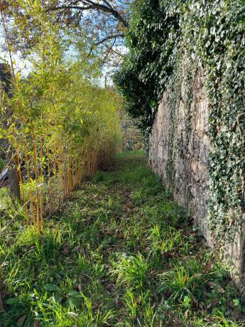 Casa de pueblo en Trasmonte, 6 photo 2