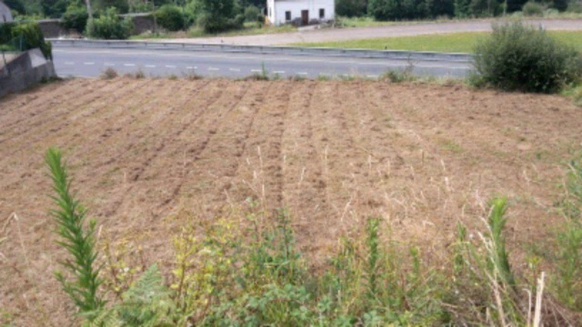 Sale of rural property in Lugar Sixto , Santiago de Compostela photo 3