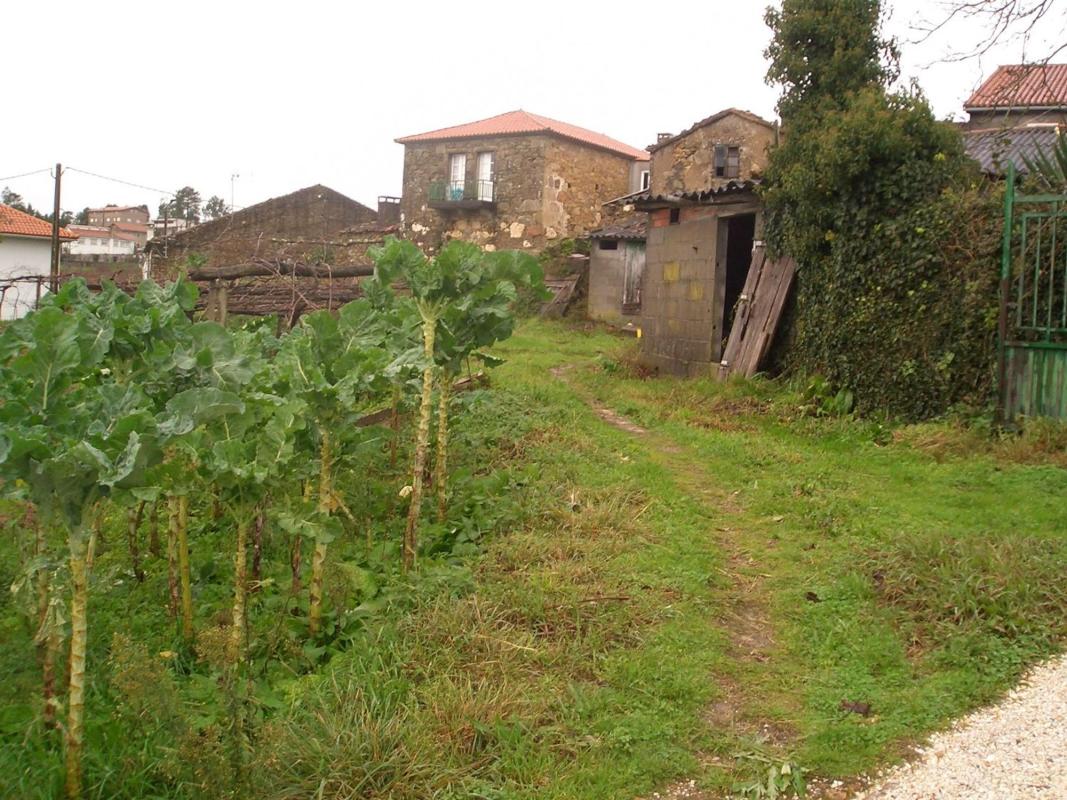 Properties for sale and rent in Spain photo 3