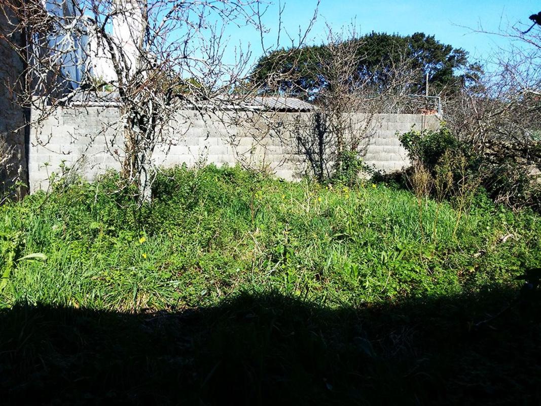 Properties for sale and rent in Spain photo 4