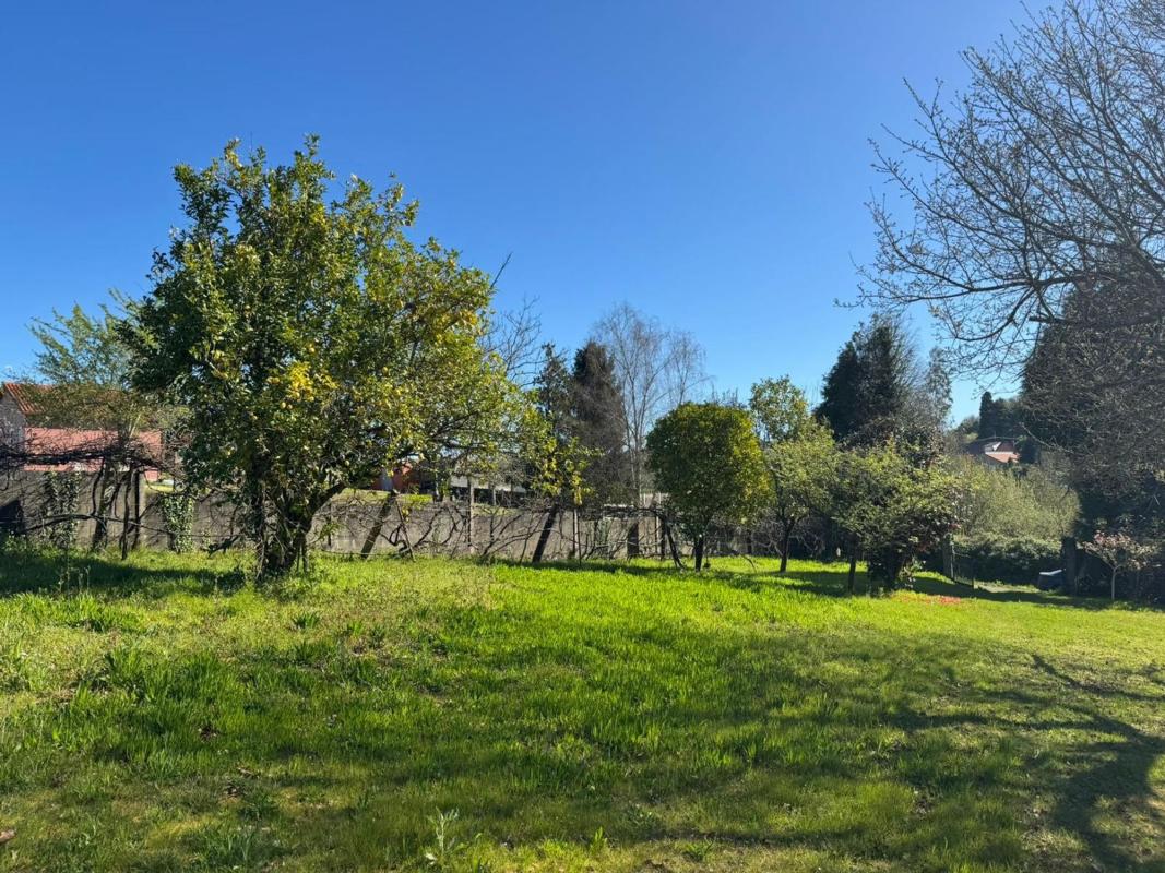 Sale of rural property in Raxas , Bergondo photo 5