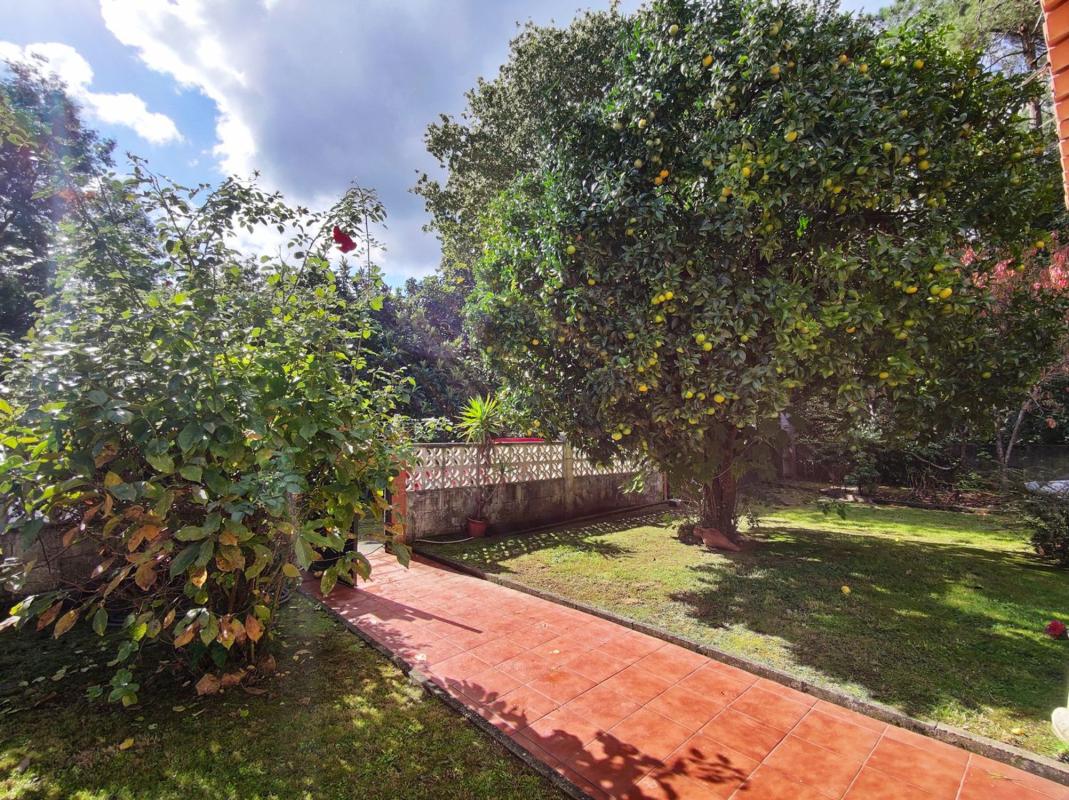 Sale of independent chalet in Seixurra. Orto, Abegondo
photo 3