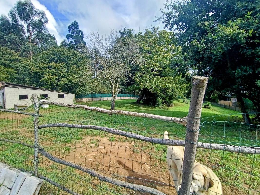 Sale of independent chalet in Sada, Sada
 photo 3