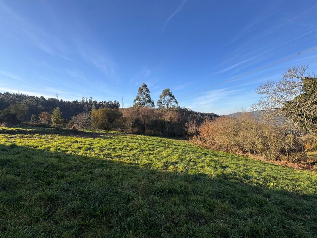 Sale of independent chalet in Cabra, Carral
photo 5