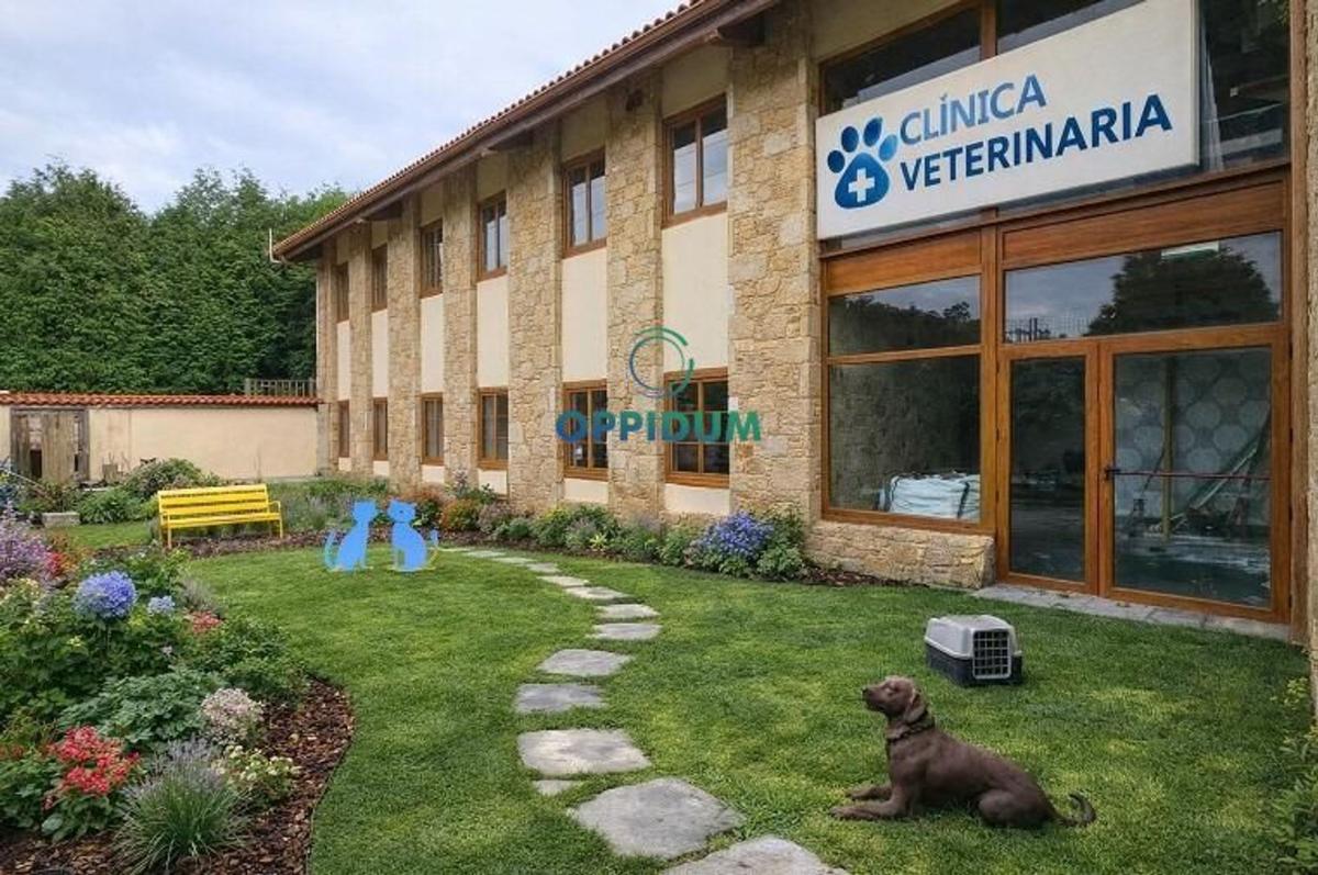 Продажа отдельного шале в Calle Zapateira, Артеихо photo 5