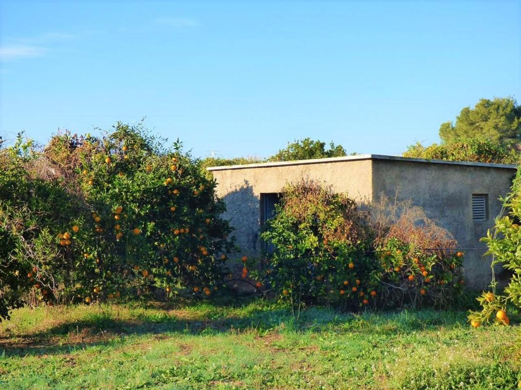 Terreno en venta en Benidorm, Alicante photo 2