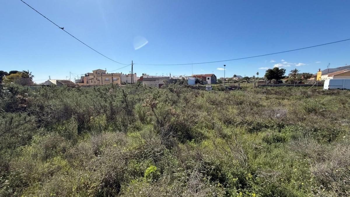 Terreno en venta en San Vicente del Raspeig, Alicante photo 3
