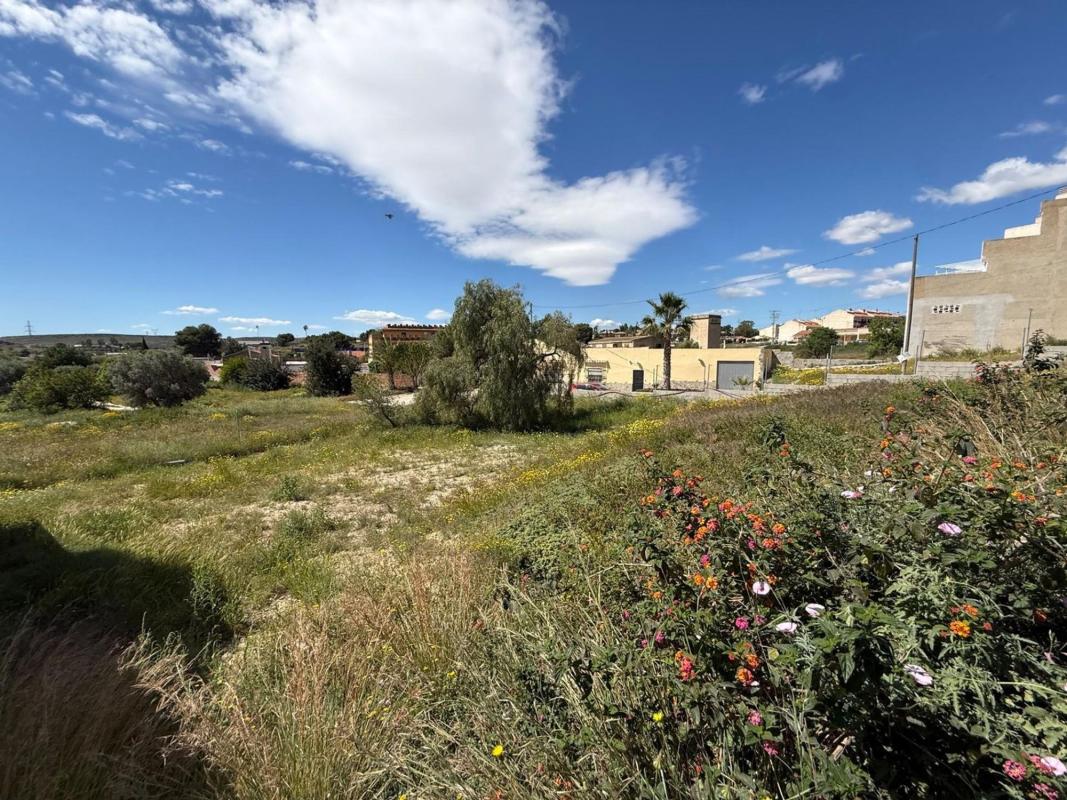 Land for sale in Rebolledo, Alicante photo 2