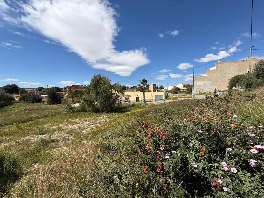 Land for sale in Rebolledo, Alicante photo 3