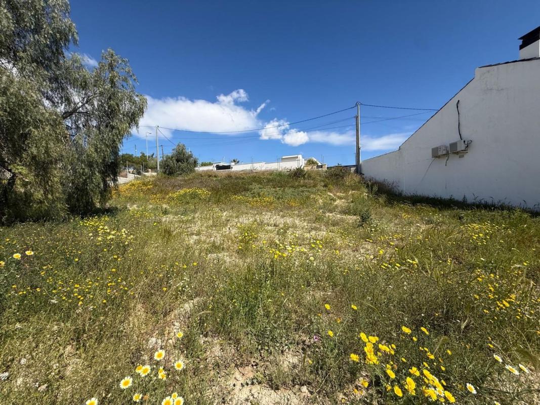 Land for sale in Rebolledo, Alicante photo 5